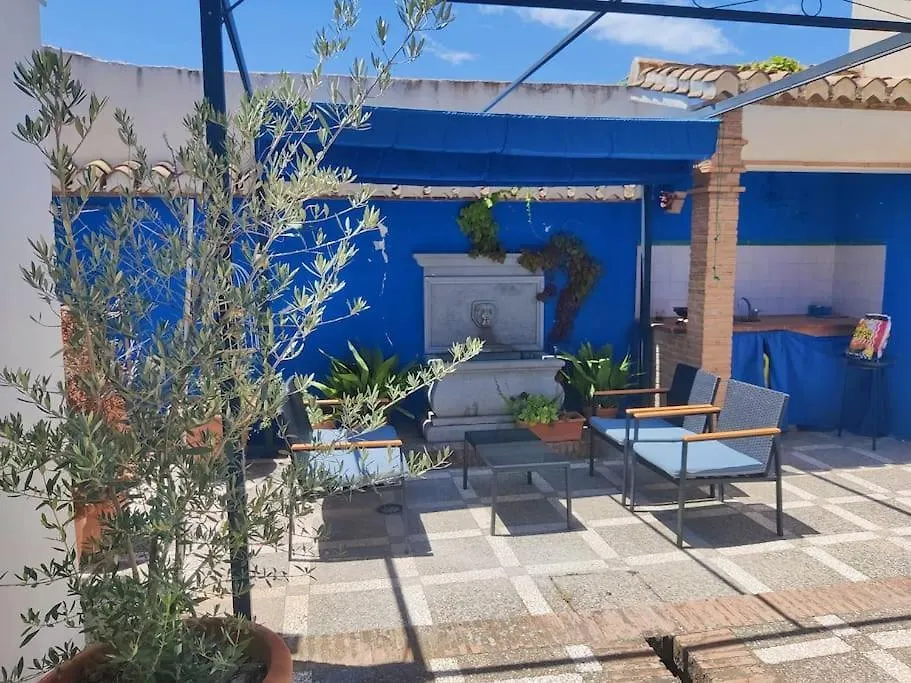 גרנדה Lolas Cozy Studio 0*,